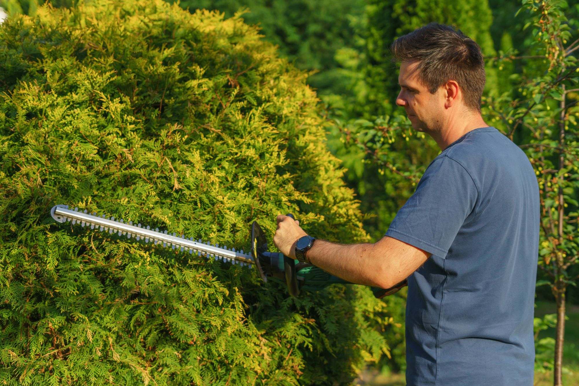 A landscaper trimming a hedge